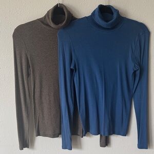 Everlane Turtlenecks, Size Medium, Blue and Brown